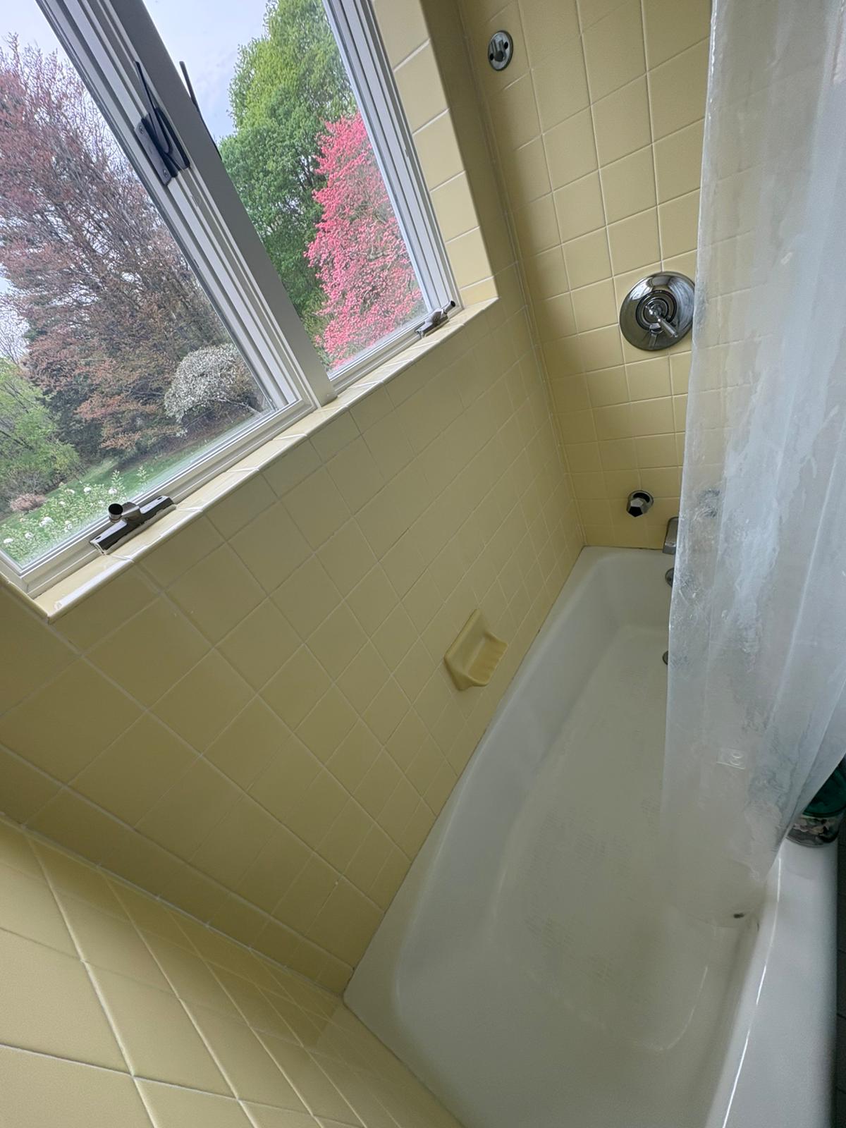 Bathroom detail clean — before